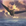 Maximum Ride