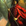 Dragonlance, Forgotten Realms, Ravenloft