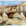 Lettori a Firenze