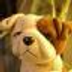 Arthur