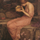 Simona dalle nebbie mantovane