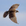 saker