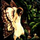 Thilwen