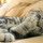 Catty