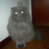 lucrezia