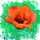 Ninnisha
