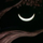 Cheshire Cat