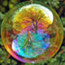 Patmoon