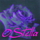 OStella