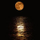 Lunaviandante