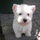 ♥ Betty ♥ (scambio solo ebook)