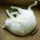 Foolcat Vincent