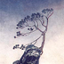 Murasaki