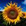 Sunny from Cucinallegra