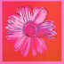 AntoDoroty