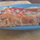 Sturgeon