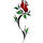 Seth_Deadrose