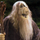 SiDivieW