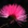 Mrrr