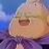 Fungo