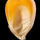 maidiremais