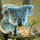 Piccolo Koala
