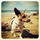 Emmaali