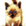 Geppy