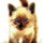 Geppy