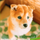 黃小犬