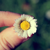 _.carrie._