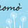 il coniglio sul comò