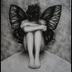 Wings ...in Wonderland...