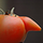 MrOrange