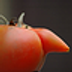 MrOrange