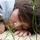 merops_apiaster