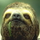 Slowsloth