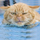 Emdier