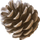 _Pigna_