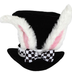 white_rabbit.s