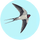 Istanicataka