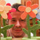 Sergio Perkunas (solo su Goodreads)