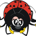 Coccinella