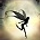 ShadowShine (scambio solo ebook)