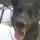 Busti78