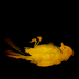 fiumerosso