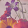 BooksInBloom