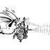 Ecografista