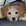 Sofy