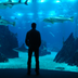 pierpytom